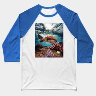 Sea Turtle Baseball T-Shirt